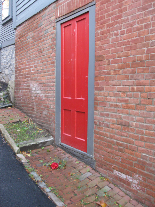 a red door with a red rose infront of it
